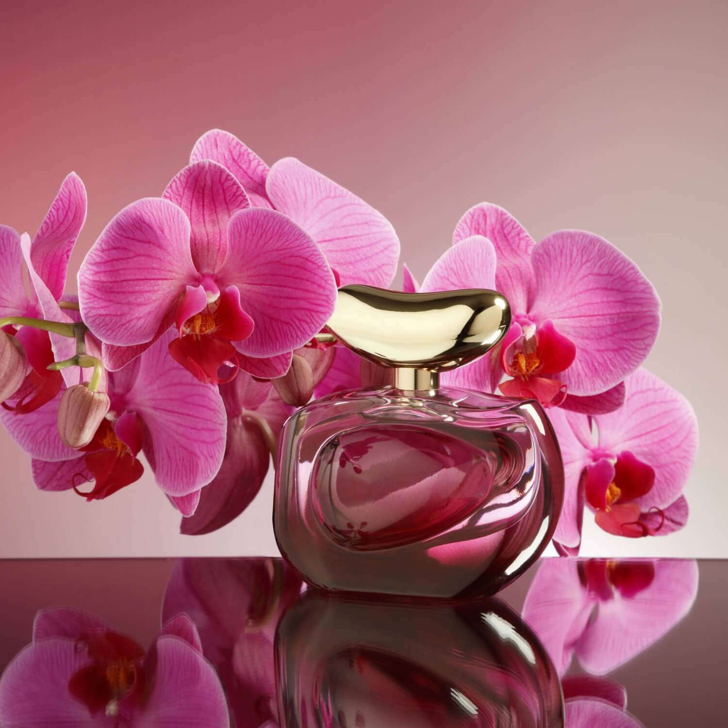 Illuminare vince camuto perfume hot sale