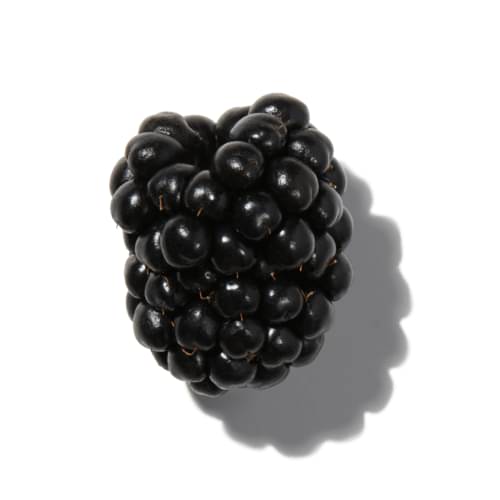 Blackberrry Leaf