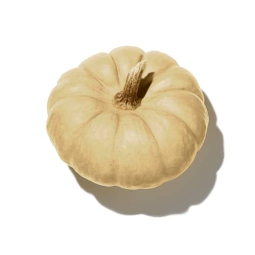White Pumpkin