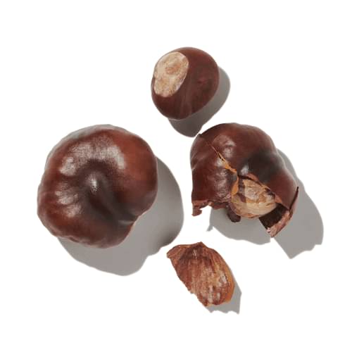 Green Hazelnut