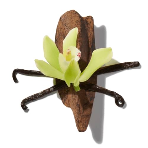 Vanilla Oud