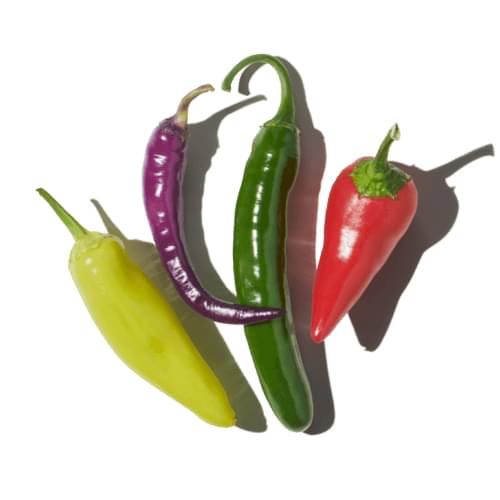  Red Chili Pepper