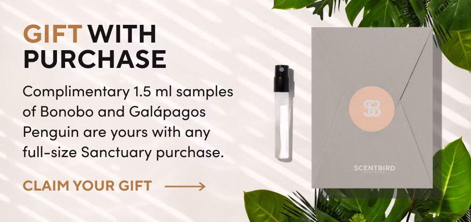 SANC: New Launch GWP null