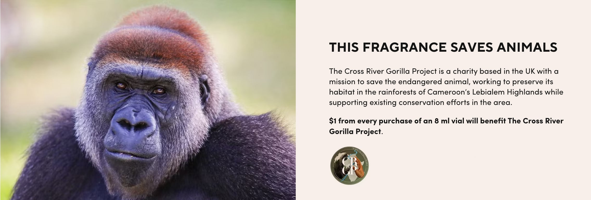 Cross River Gorilla