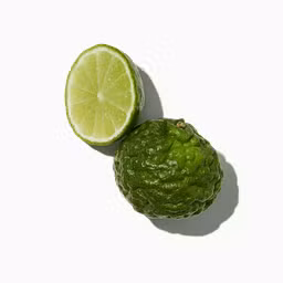 Calabrian Bergamot
