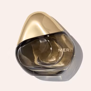 Merit Retrospect
