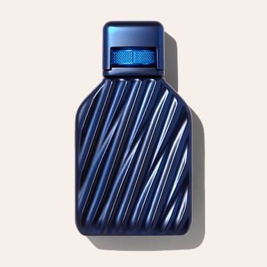 TUMI Dusk