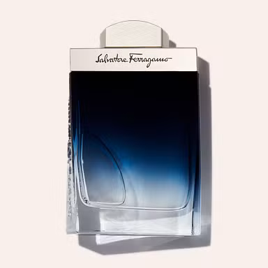Salvatore Ferragamo Subtil Pour Homme