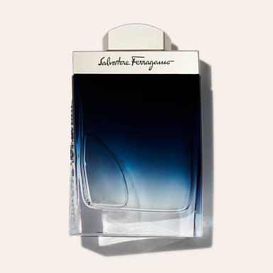 Salvatore Ferragamo Subtil Pour Homme