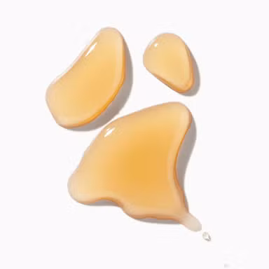 Extra Virgin Olive Oil Accord