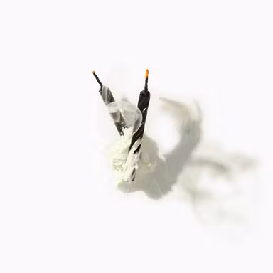 Blown Out Birthday Candles