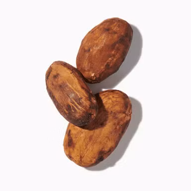 Cocoa Powder