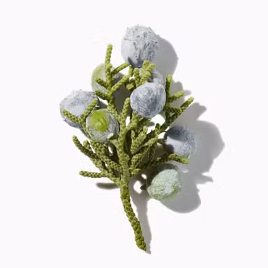 Juniper Berries Essence