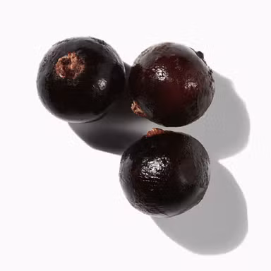 Blackcurrant Buds Absolute