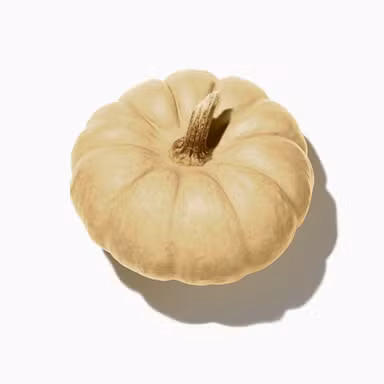 White Pumpkin