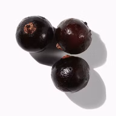 Cassis Berries
