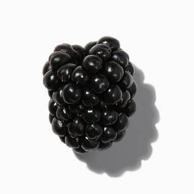 Wild Blackberry