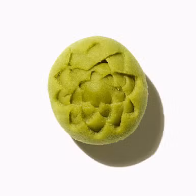 Wasabi Accord