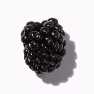 Blackberry Musk