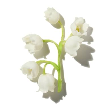 Lily of the Valley Molecule