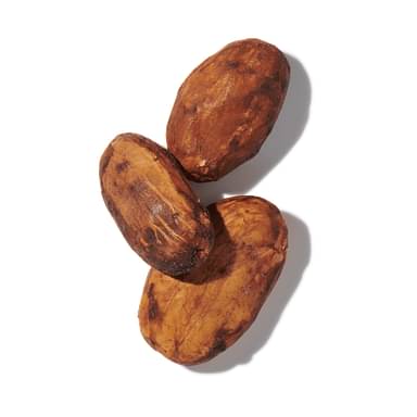 Cocoa Seed