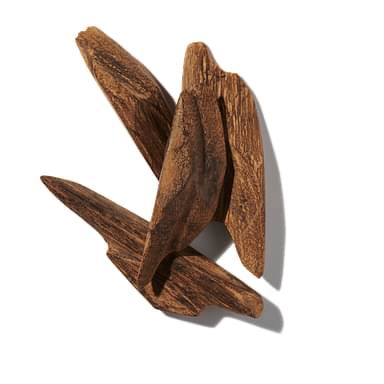 Agarwood