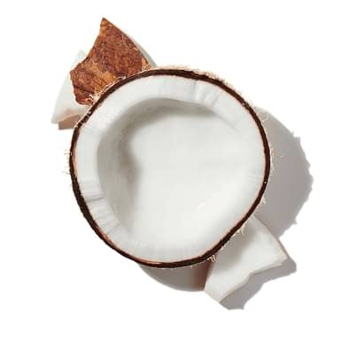 Coconut Powder