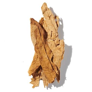 Tobacco Leaf