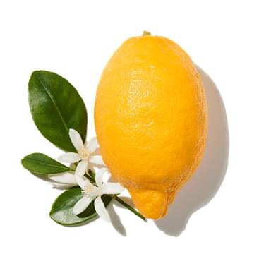 Bergamot Peel