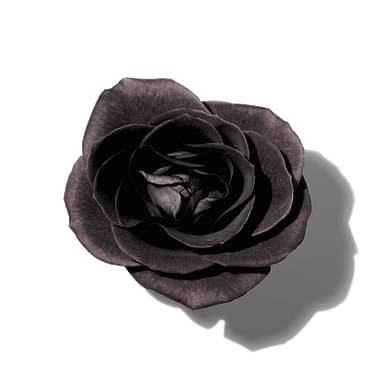 Black Rose