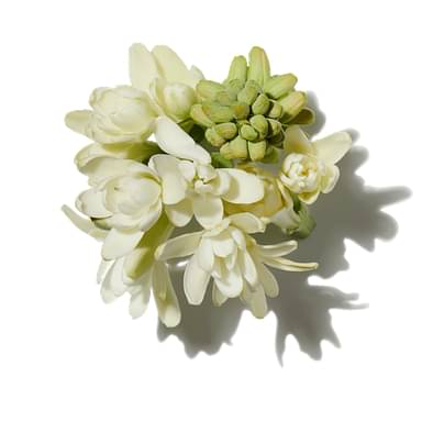 Velvet Tuberose