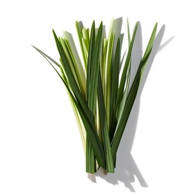 Lemongrass