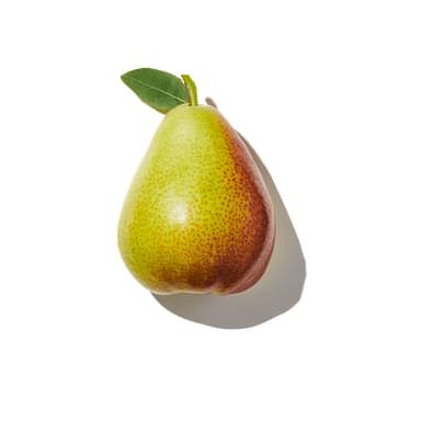 HoneyCrisp Pear