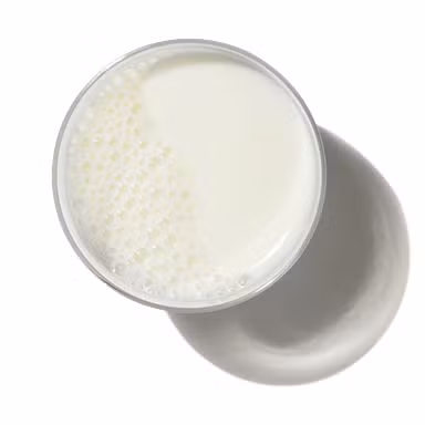 Condensed Milk