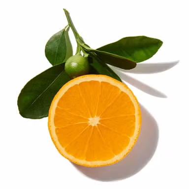 Citrus Peel
