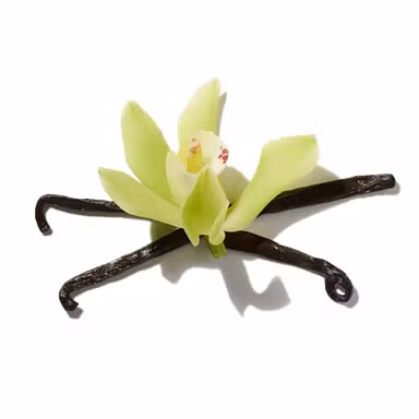 Madagascan Vanilla Bourbon Absolute
