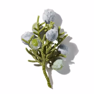 Juniper Berry Oil