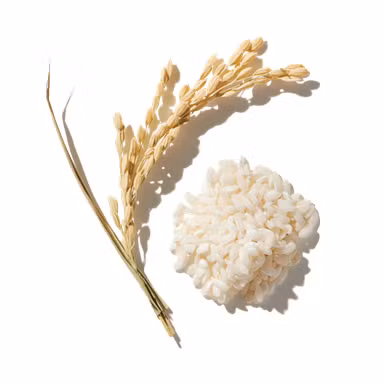 Rice Accord