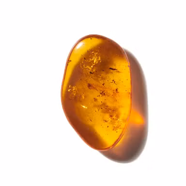 Spicy Amber