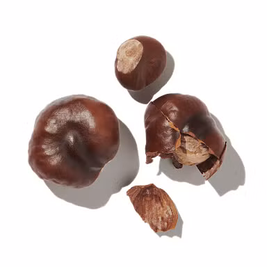 Green Hazelnut