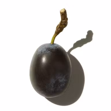 Prune