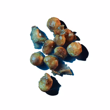 Addictive Macadamia