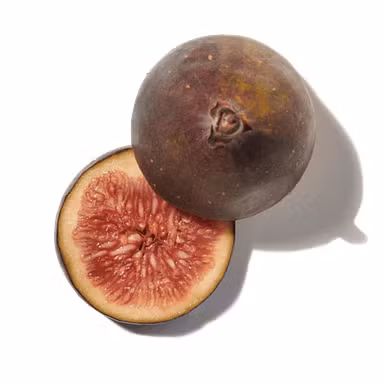 Sensual Fig