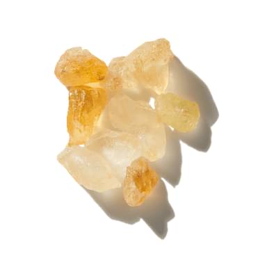 Warm Resins