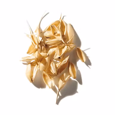 Bran Wheat Absolute