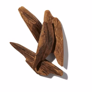 Cashmere Oud