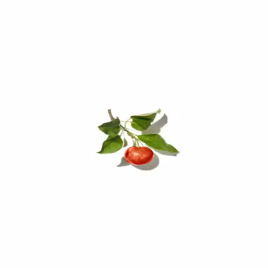 Apple Tree