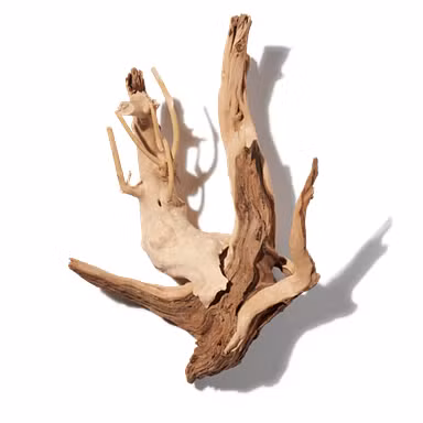 Salted Driftwood
