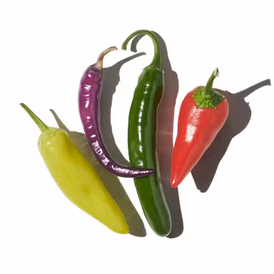  Red Chili Pepper