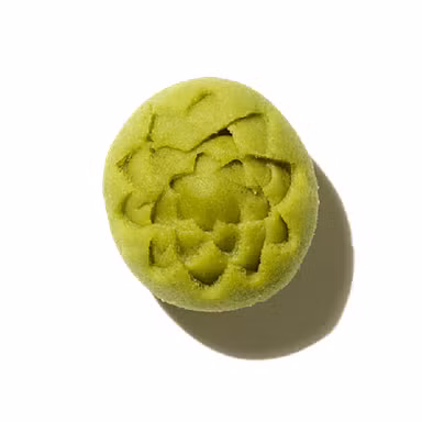 Wasabi Accord